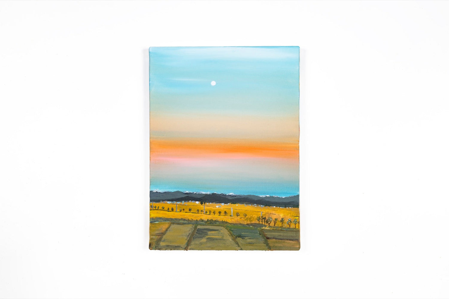 はじめての帰り道