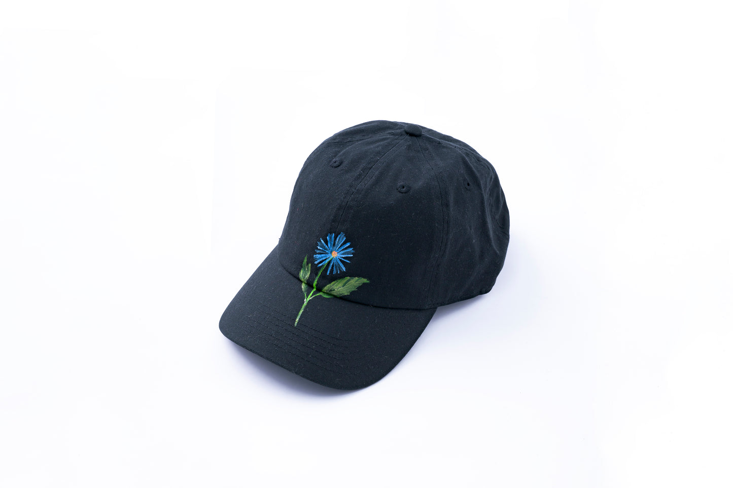 hand painted collection cap